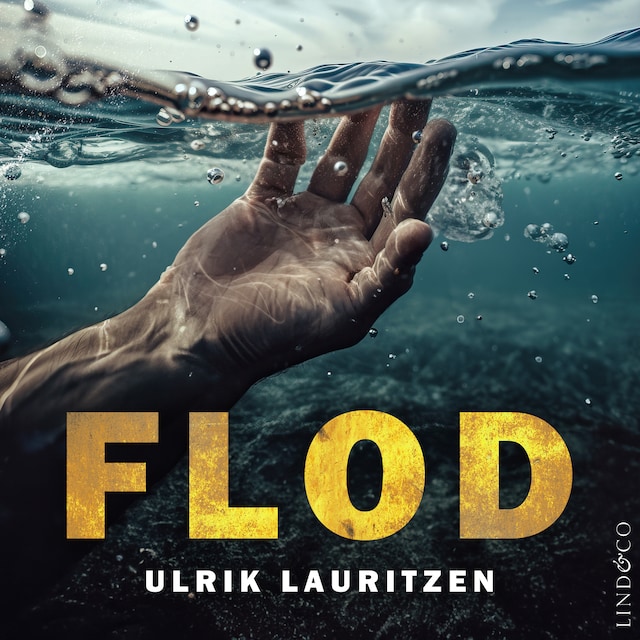 Book cover for Flod