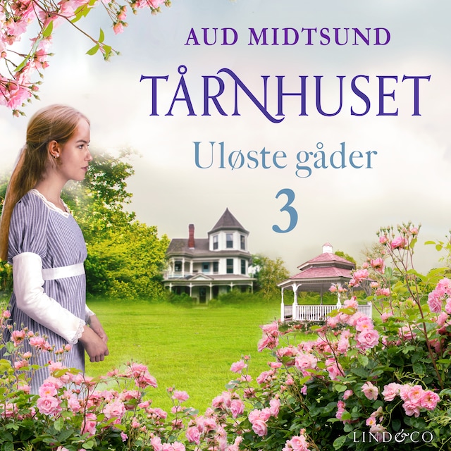 Copertina del libro per Uløste gåder