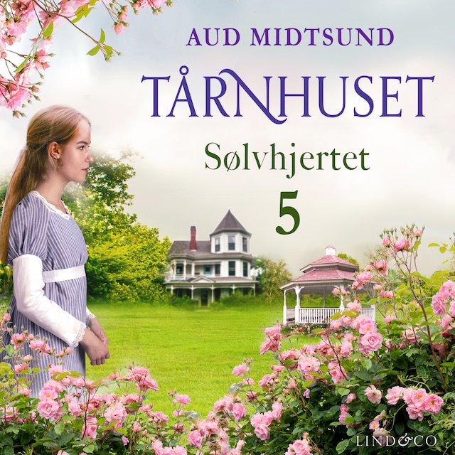 Book cover for Sølvhjertet