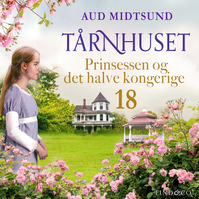 Book cover for Prinsessen og det halve kongerige