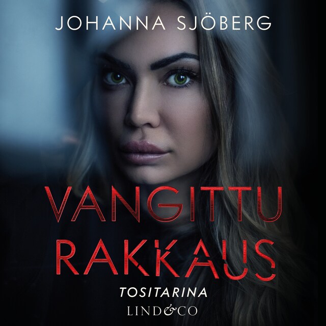 Book cover for Vangittu rakkaus
