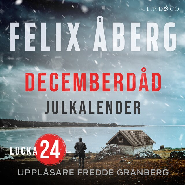 Book cover for Decemberdåd: Lucka 24