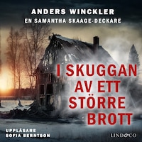 I skuggan av ett större brott