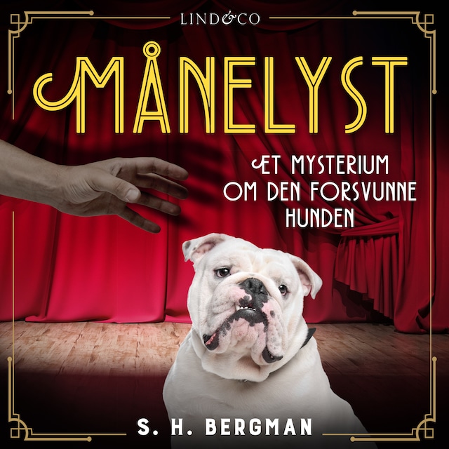 Book cover for Månelyst: Et mysterium om den forsvunne hunden