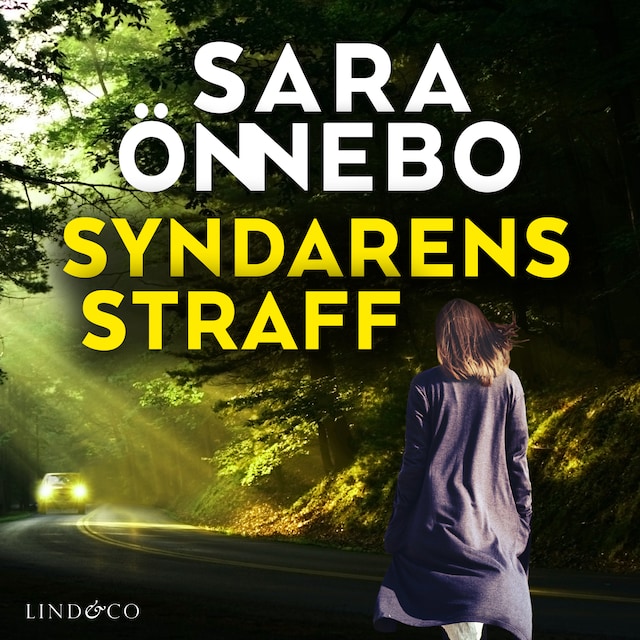 Book cover for Syndarens straff