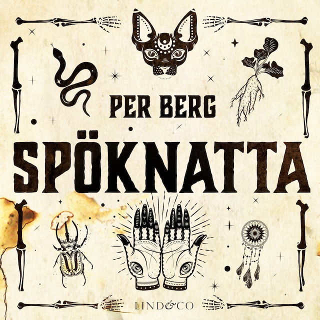 Book cover for Spöknatta