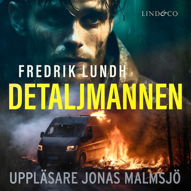 Book cover for Detaljmannen