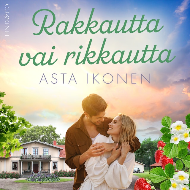 Book cover for Rakkautta vai rikkautta
