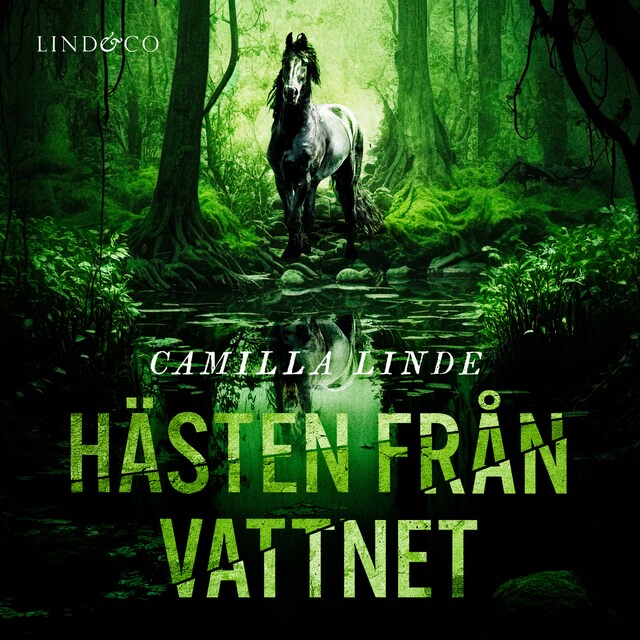 Book cover for Hästen från vattnet