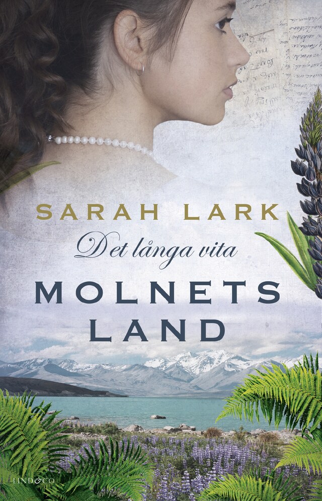 Book cover for Det långa vita molnets land