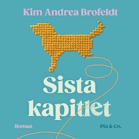 Sista kapitlet