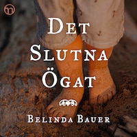 Det slutna ögat