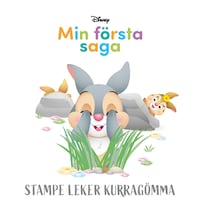 Stampe leker kurragömma
