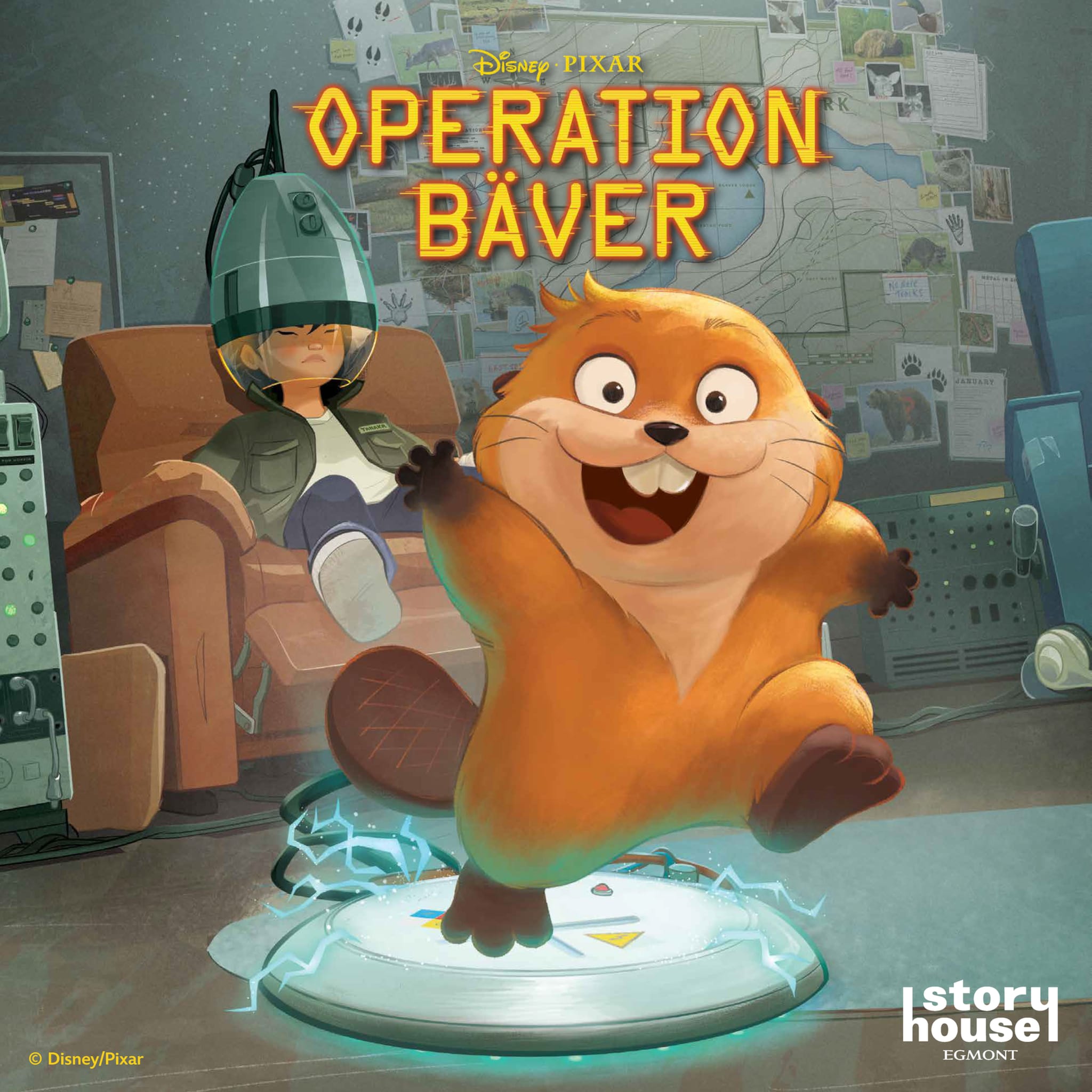Operation Bäver