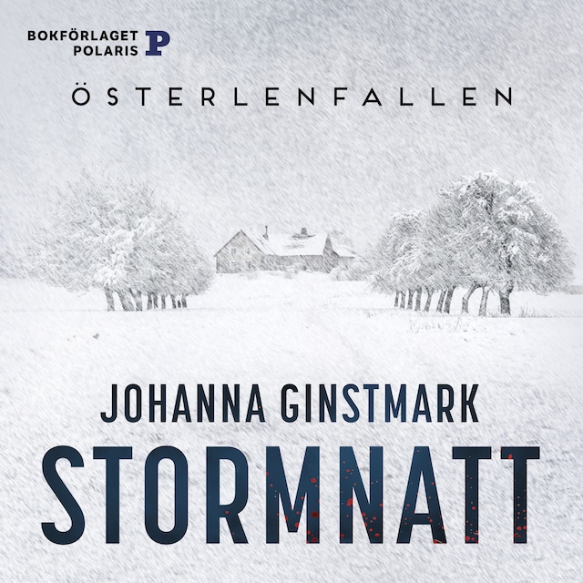 Book cover for Stormnatt