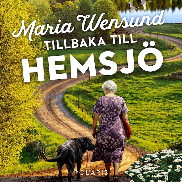 Buchcover für Tillbaka till Hemsjö