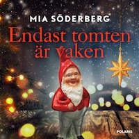 Lucka 7 – Endast tomten är vaken