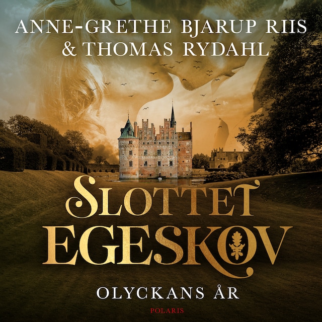 Book cover for Olyckans år