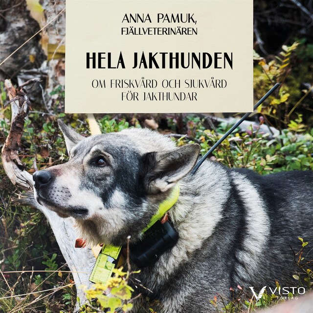 Book cover for Hela jakthunden