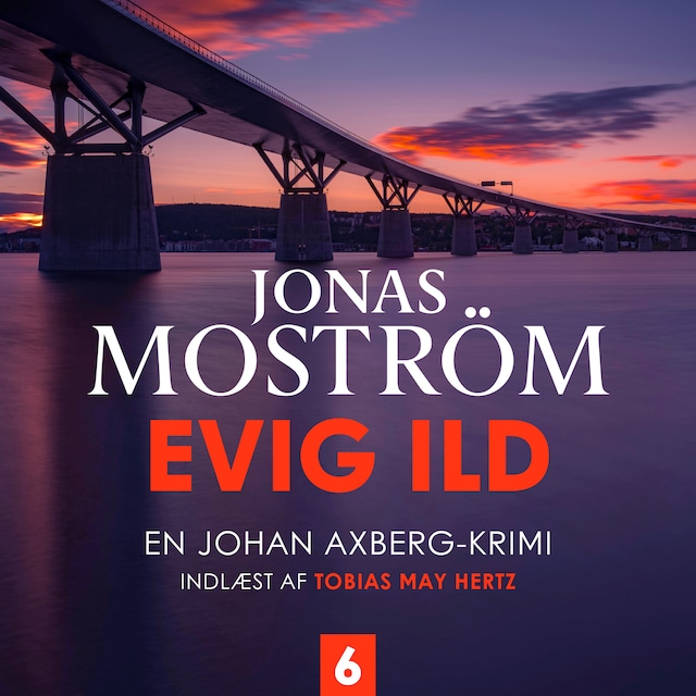 Book cover for Evig ild - 6