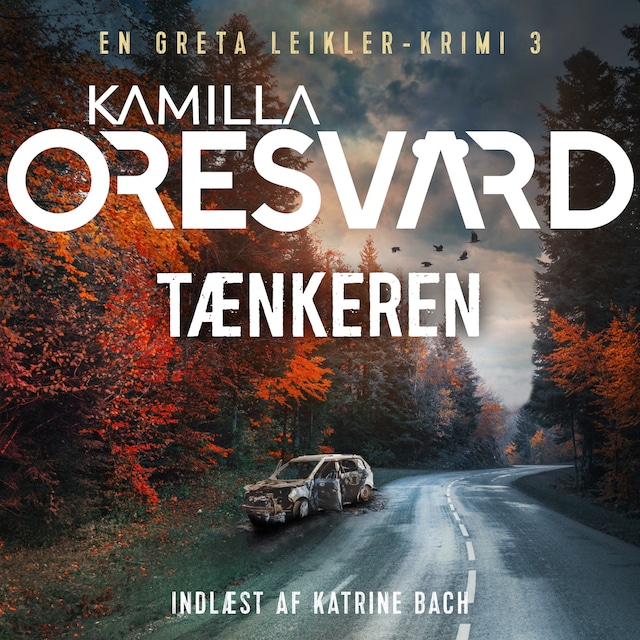 Copertina del libro per Tænkeren - 3