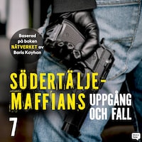 Södertäljemaffians uppgång och fall - E7