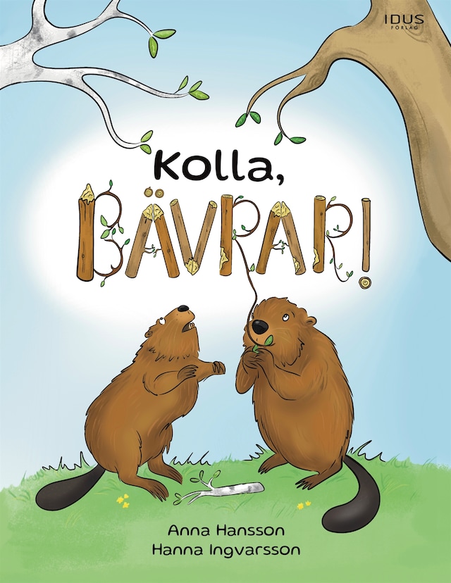 Book cover for Kolla, bävrar!