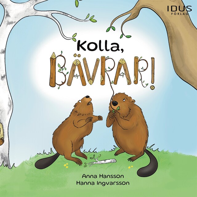 Book cover for Kolla, bävrar!