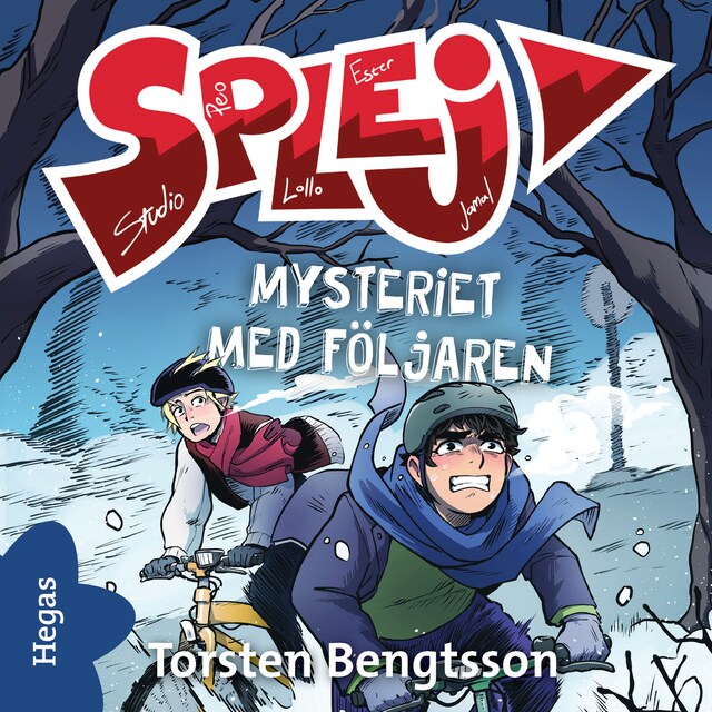 Bogomslag for Mysteriet med följaren