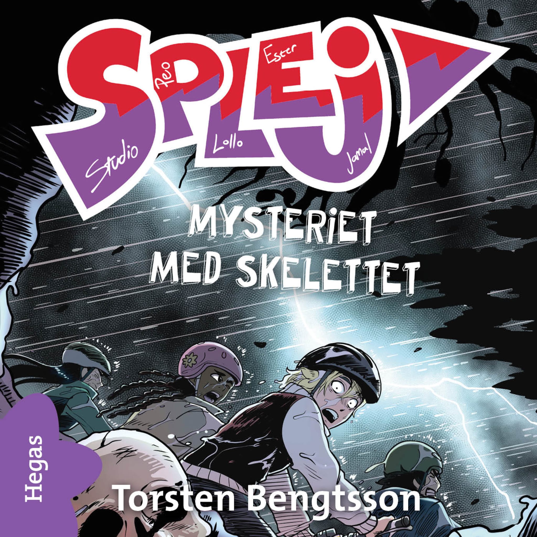 Mysteriet med skelettet