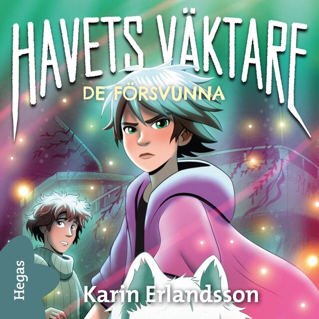 Book cover for De försvunna