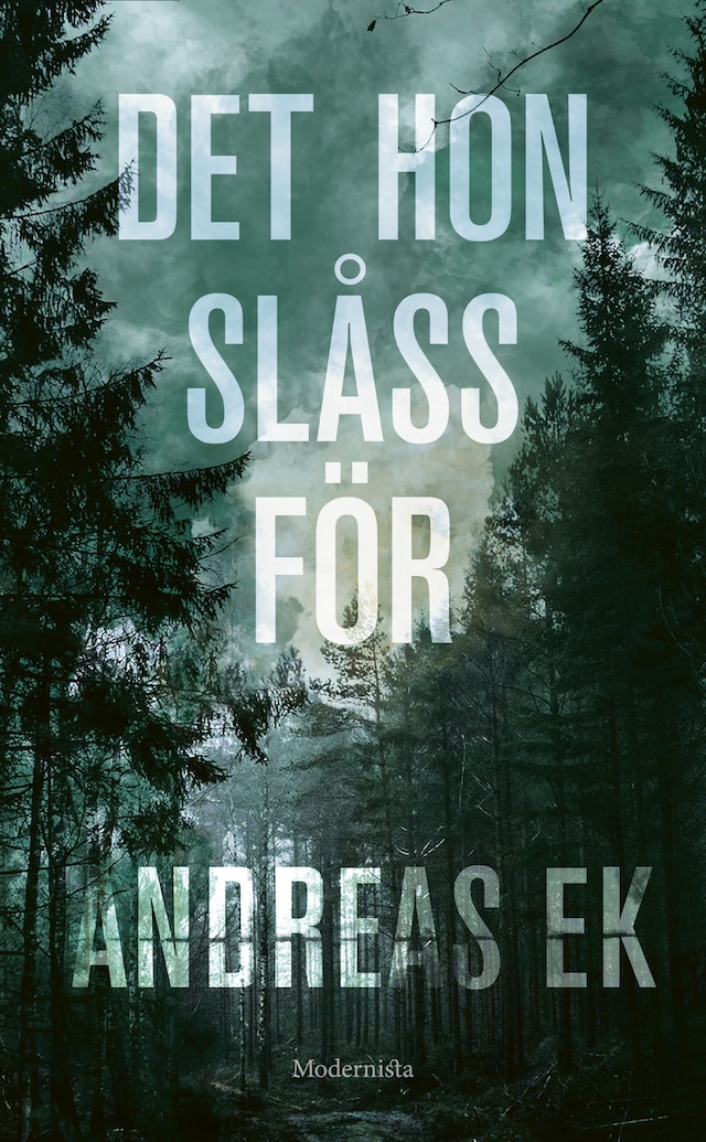 Book cover for Det hon slåss för