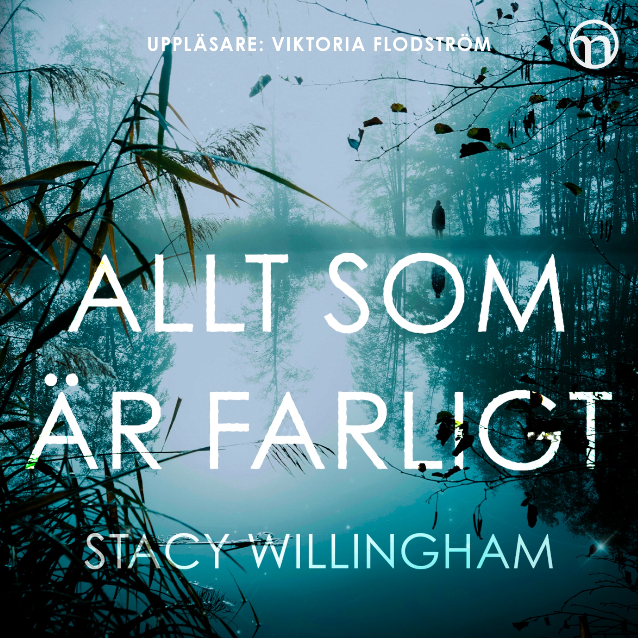 Allt som är farligt