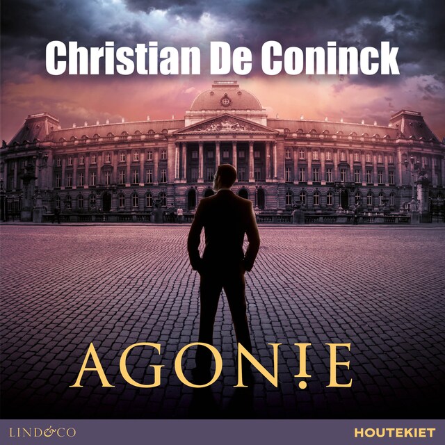Book cover for Agonie