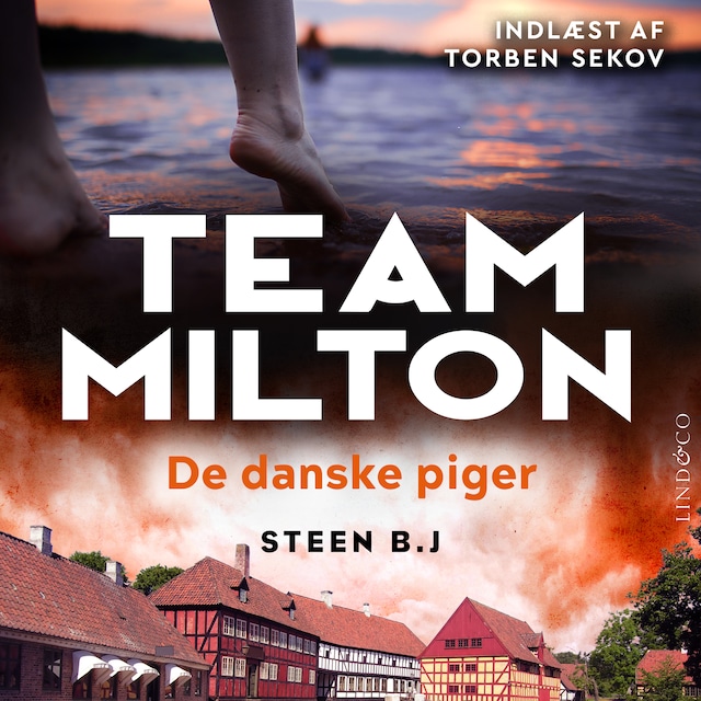 Buchcover für De danske piger