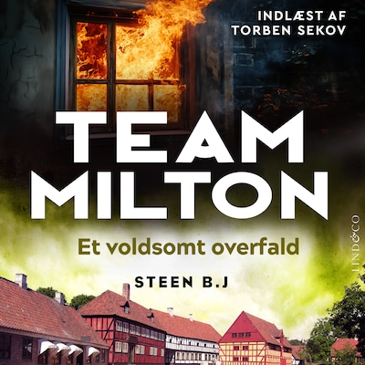 Et voldsomt overfald