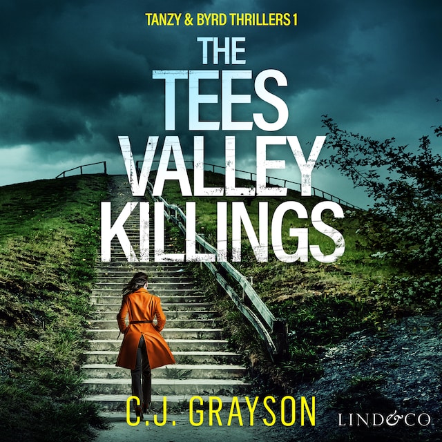 Book cover for The Tees Valley Killings
