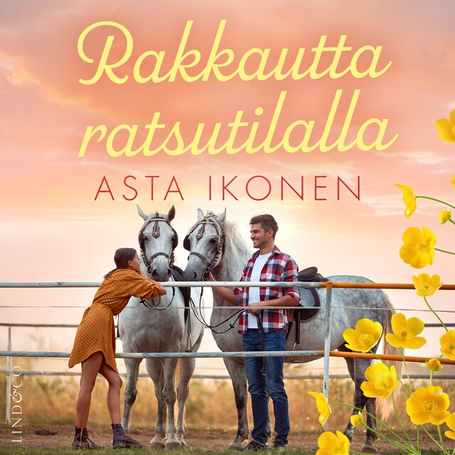 Buchcover für Rakkautta ratsutilalla