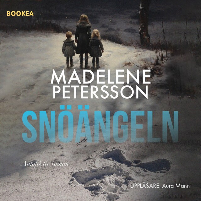 Book cover for Snöängeln