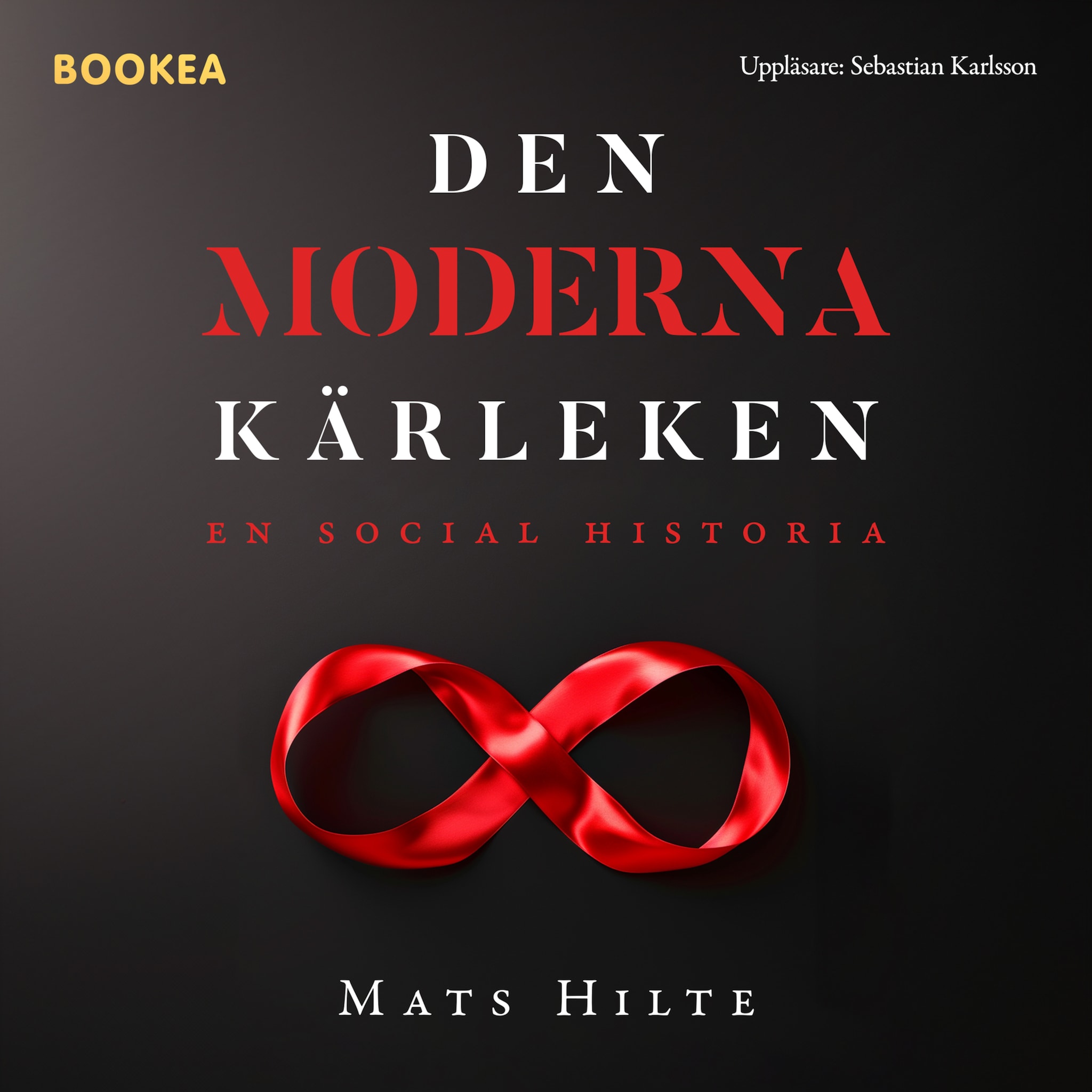 Den moderna kärleken : en social historia