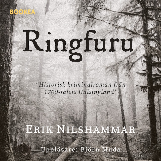 Book cover for Ringfuru