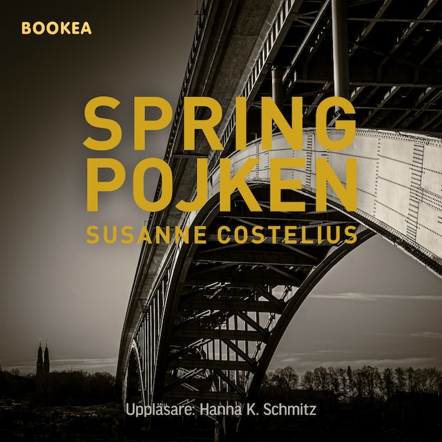 Book cover for Springpojken