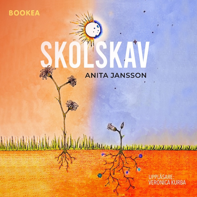 Book cover for Skolskav