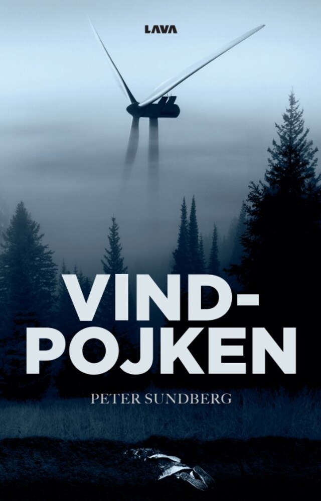 Copertina del libro per Vindpojken