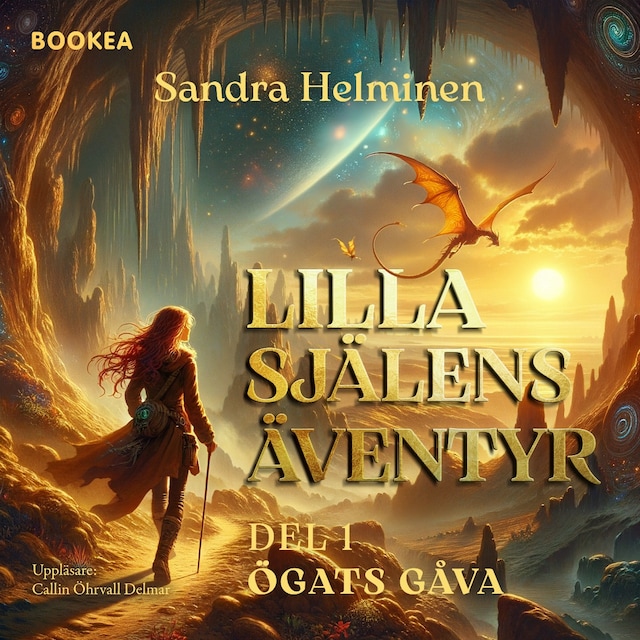 Book cover for Lilla själens äventyr