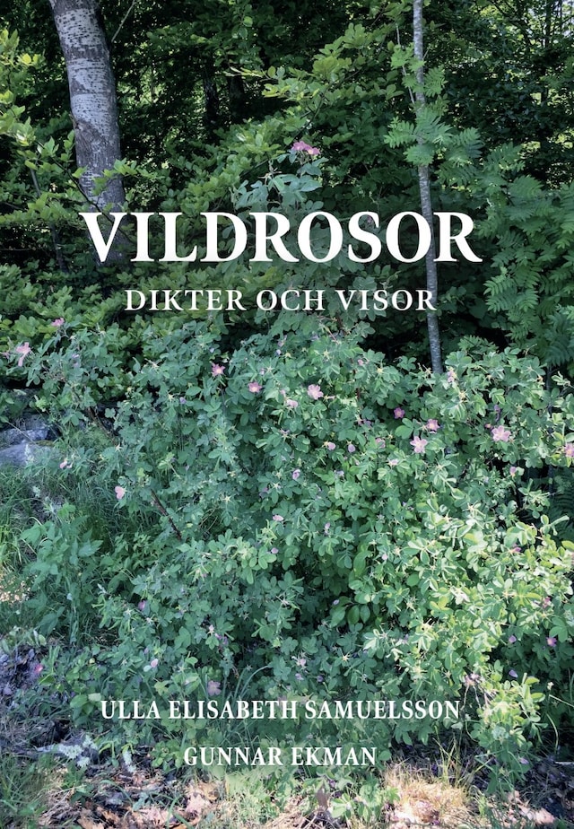 Buchcover für Vildrosor