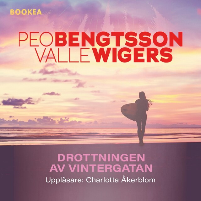 Book cover for Drottningen av vintergatan