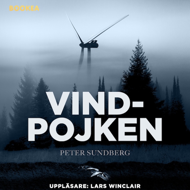 Buchcover für Vindpojken