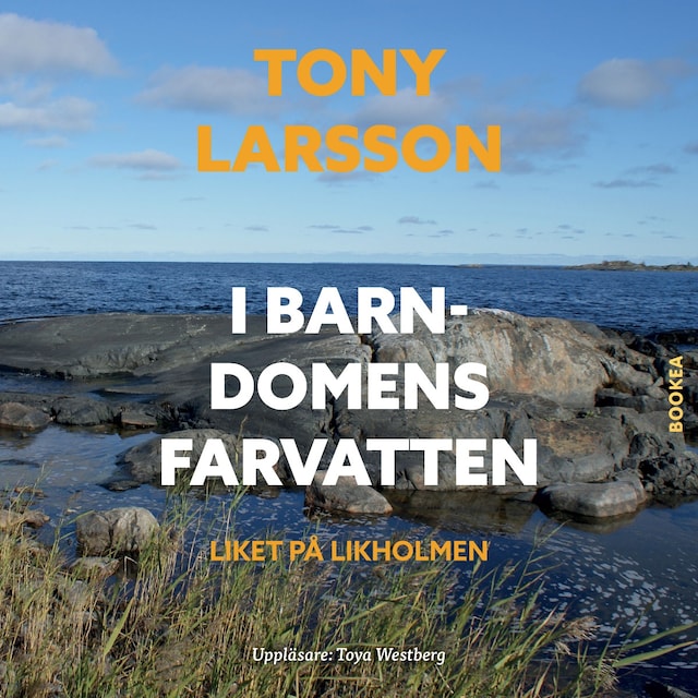 Book cover for I barndomens farvatten