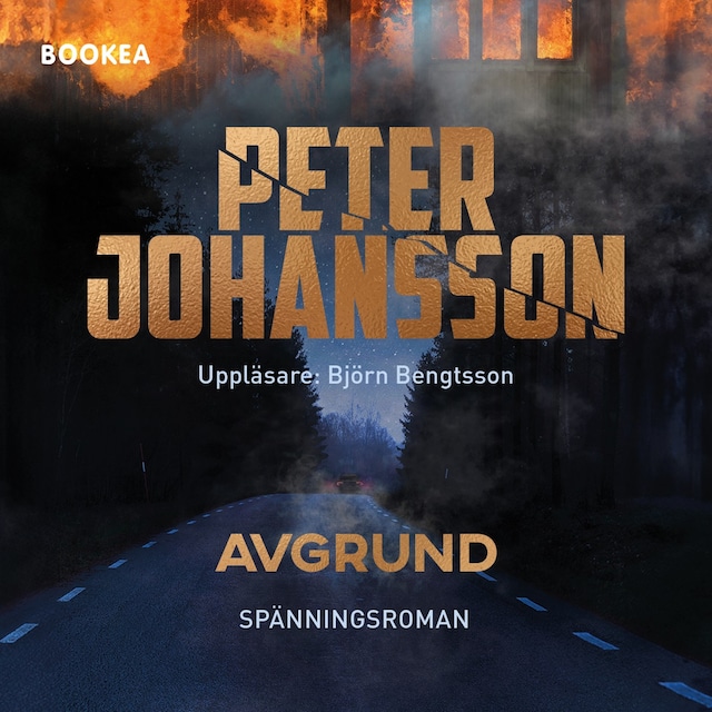 Book cover for Avgrund